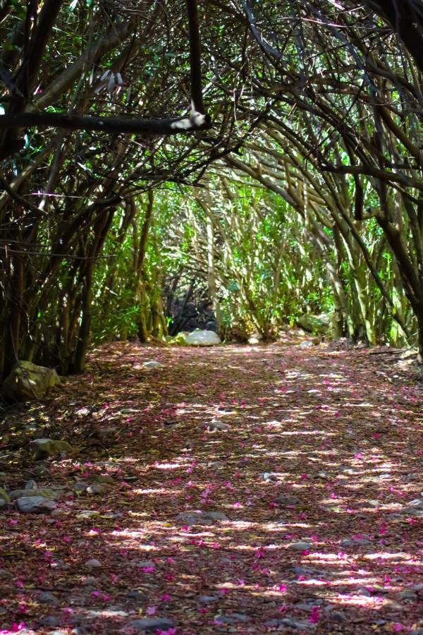 Hostal Rural De Cuadros Bedmar y Garciez ภายนอก รูปภาพ