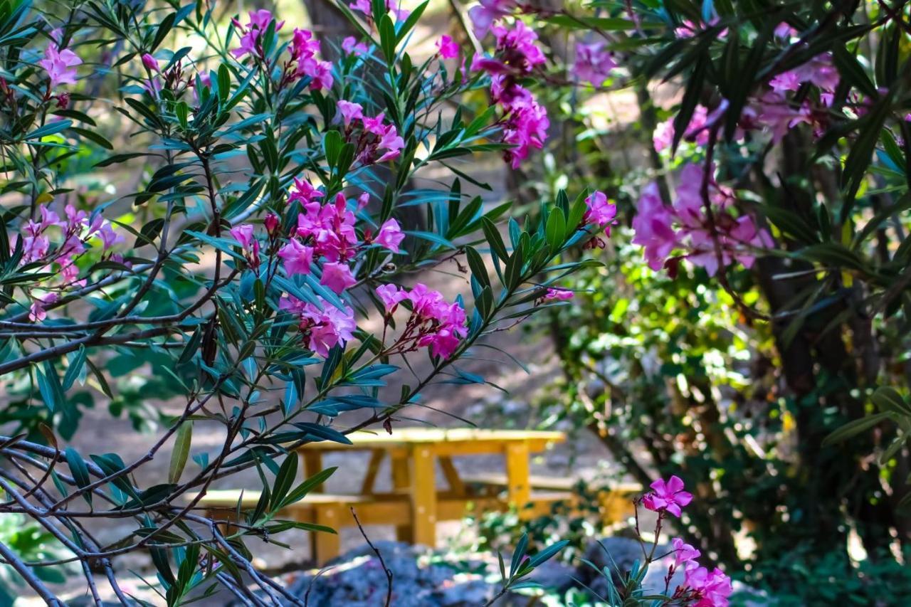 Hostal Rural De Cuadros Bedmar y Garciez ภายนอก รูปภาพ